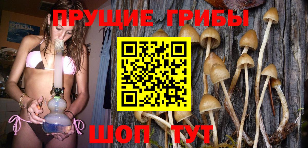 Галлюциногенные грибы Cubensis  Вход с VPN  Скопин 